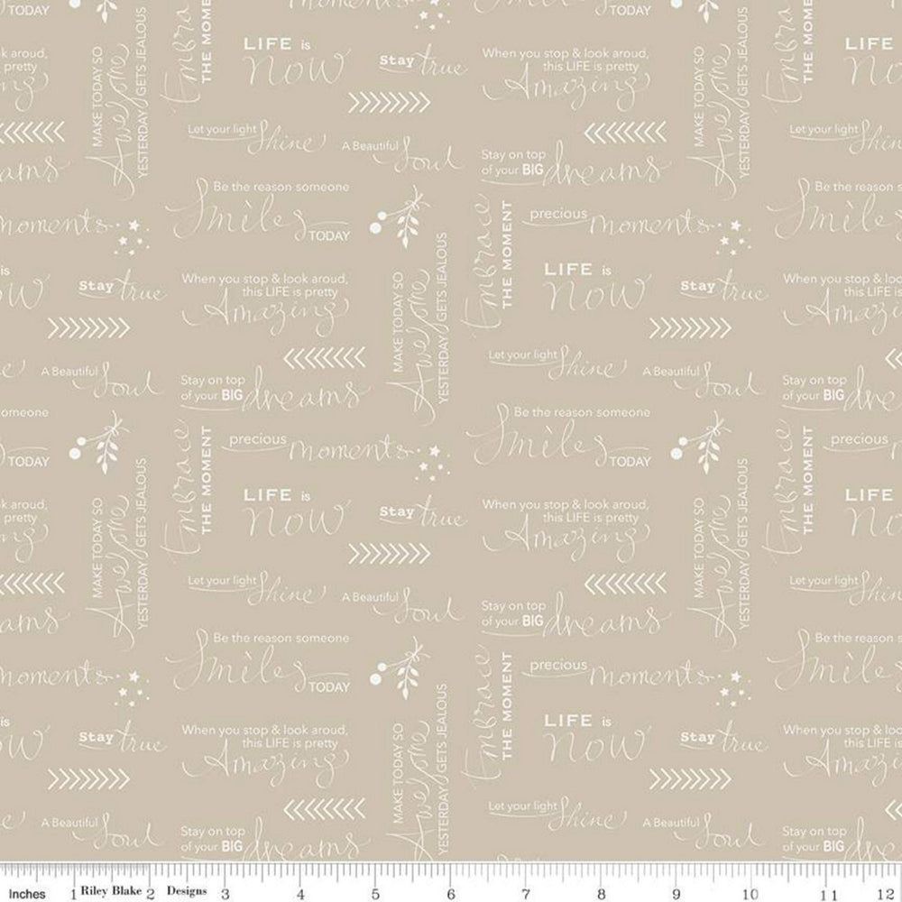 MOMENTS - Quotes - Tan - by Minki Kim - Riley Blake Designs - Quilting Cotton Fabric - ( C9014-TAN )