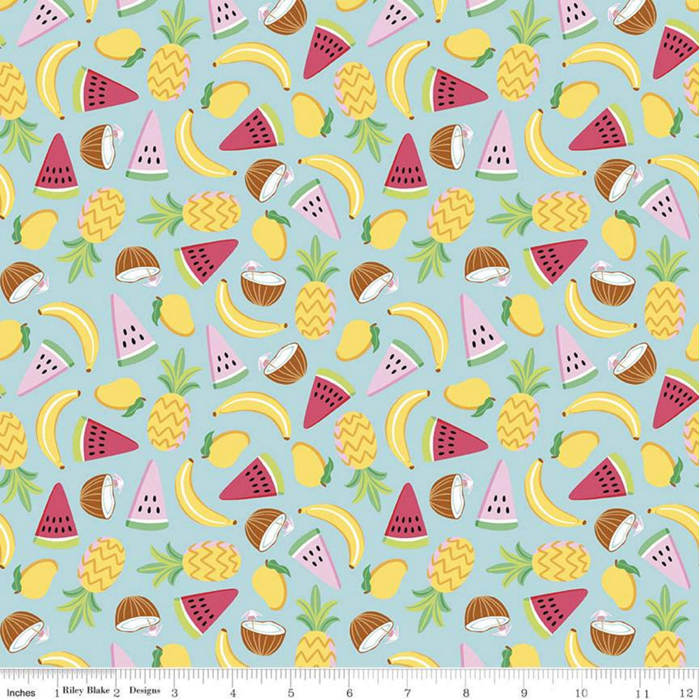RAINBOWFRUIT - Lets Get Coconuts on Aqua colored Quilting Cotton Fabric - by Amber Kemp-Gerstel of Damask Love - Riley Blake Designs - C10891-AQUA