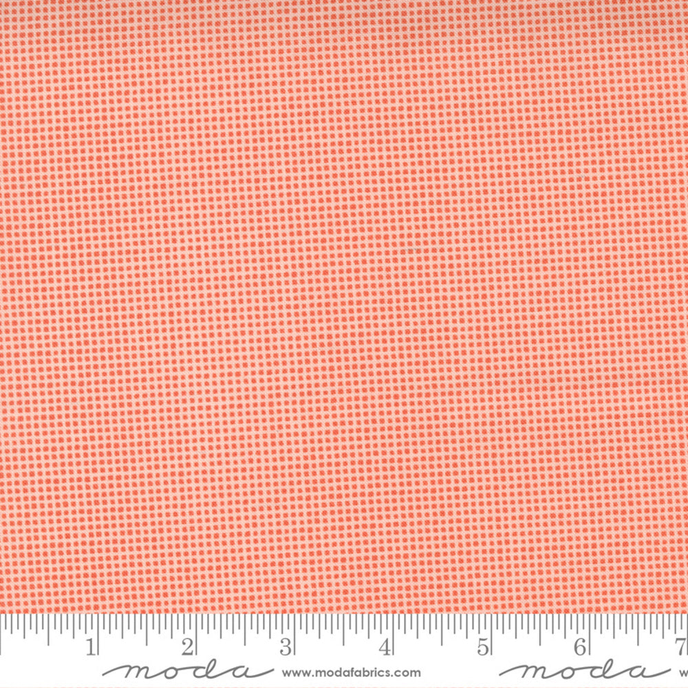 MAKE TIME - Gingham - Strawberry - by Aneela Hoey - Moda - Quilting Cotton Fabric - ( 24577 21 )